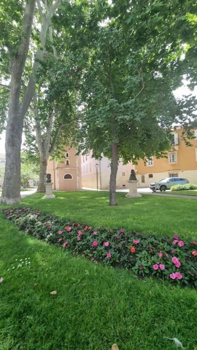 Place 4 U Studio Center Zadar Exterior photo